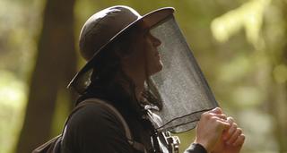 Lifesystems Right Image