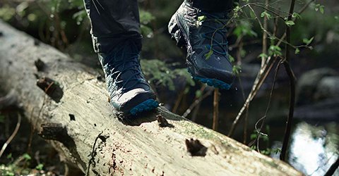 Person's feet in GORE-TEX boots, walking on a fallen tree.