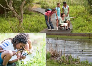 activitiesinwetlands2