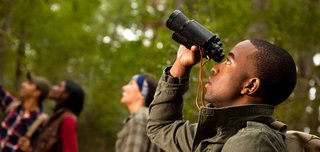 birdwatchingforbeginners