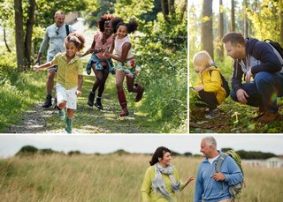 essentialsforstressfreefamilywalks2