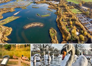 favouritewetlandsUK3