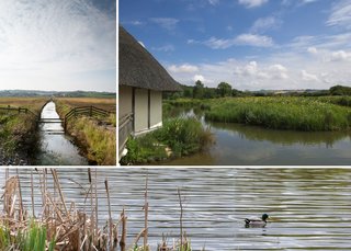 favouritewetlandsUK4