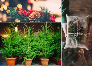 gogreenthischristmas2