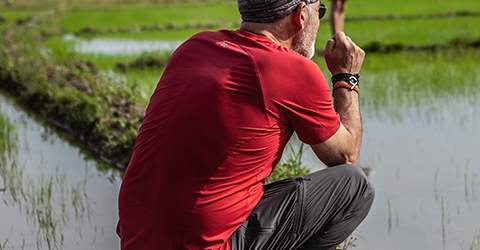 Hot weather page - t-shirts