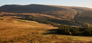 jamieramsaymentalhealth2